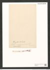 Pleurosigma strigile W.Sm. (de-Toni-Nr.: Genus 13, Species 1082) Zeichnungen Sammlung Grunow (NHMW-BOT-W0369128)